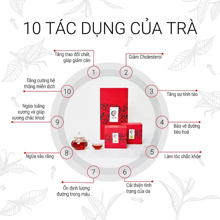 TRÀ VIỆT Hộp Quà Tri Ân - Trà Lài - Trà Ô Long - Trà Nõn Tôm