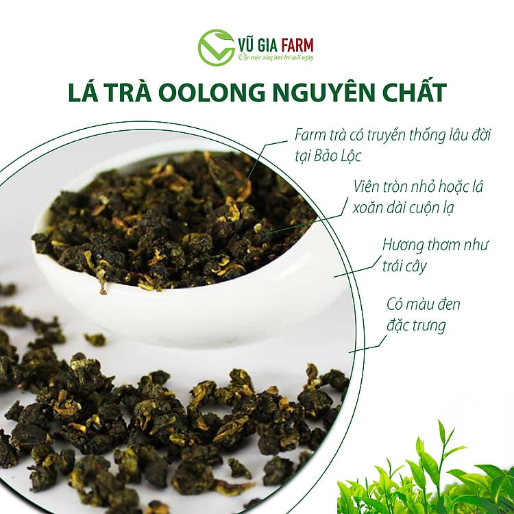 Trà Oolong Nguyên Chất Bảo Lộc Vũ Gia [200gr-hũ] + Tặng 5 Túi Lọc Đựng Trà - Nguyên liệu nấu trà sữa trân châu thơm ngon tại nhà, giảm cân an toàn