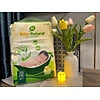Tả quần Kitin Natural size XL38 (12-15kg)