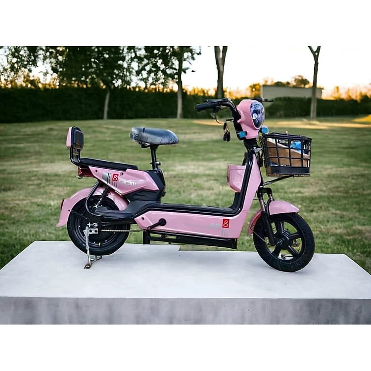 XE ĐIỆN SK8
