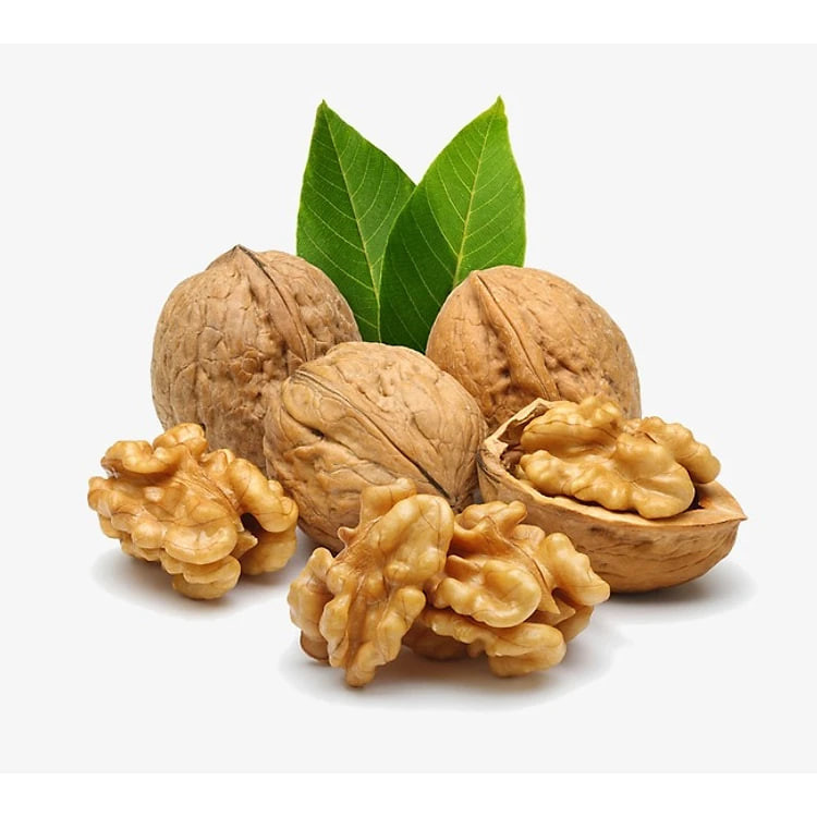 HẠT ÓC CHÓ TÂN LỘC PHÁT THƠM NGON BỔ DƯỠNG