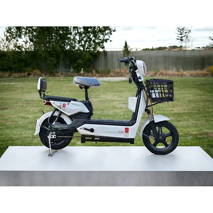 XE ĐIỆN SK8