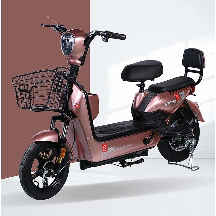 XE ĐIỆN SK8