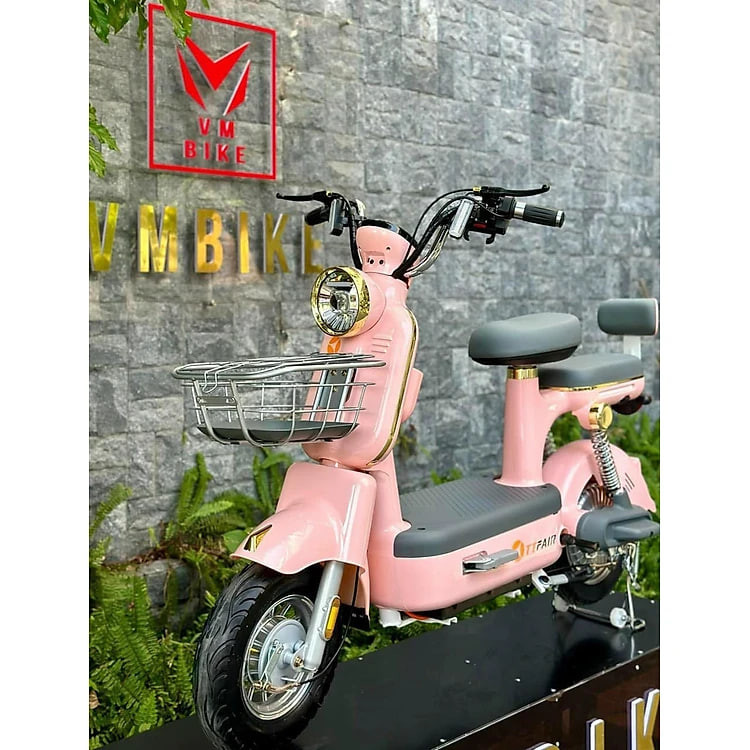XE ĐIỆN MOKA