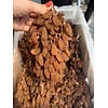 Nho khô nguyên cành Thompson hộp 300g
