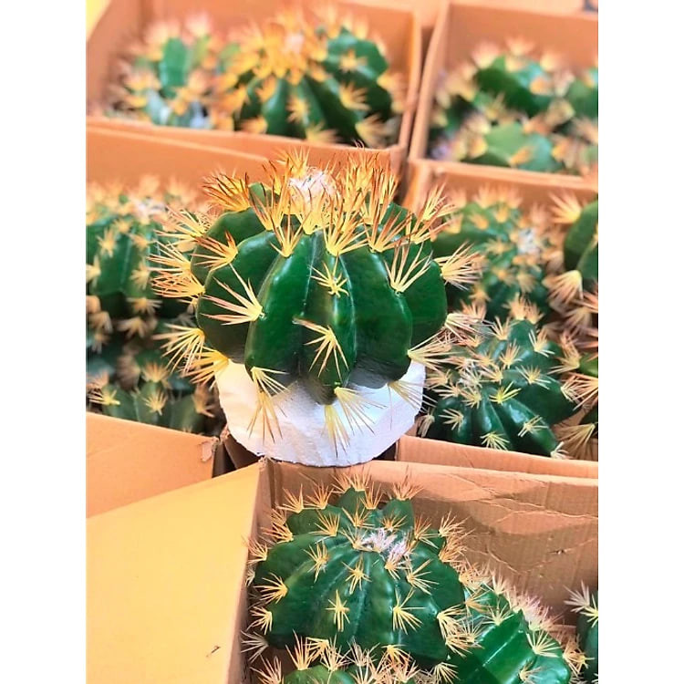 Xương rồng giả trang trí, decor nhà hàng văn phòng, làm tiểu cảnh