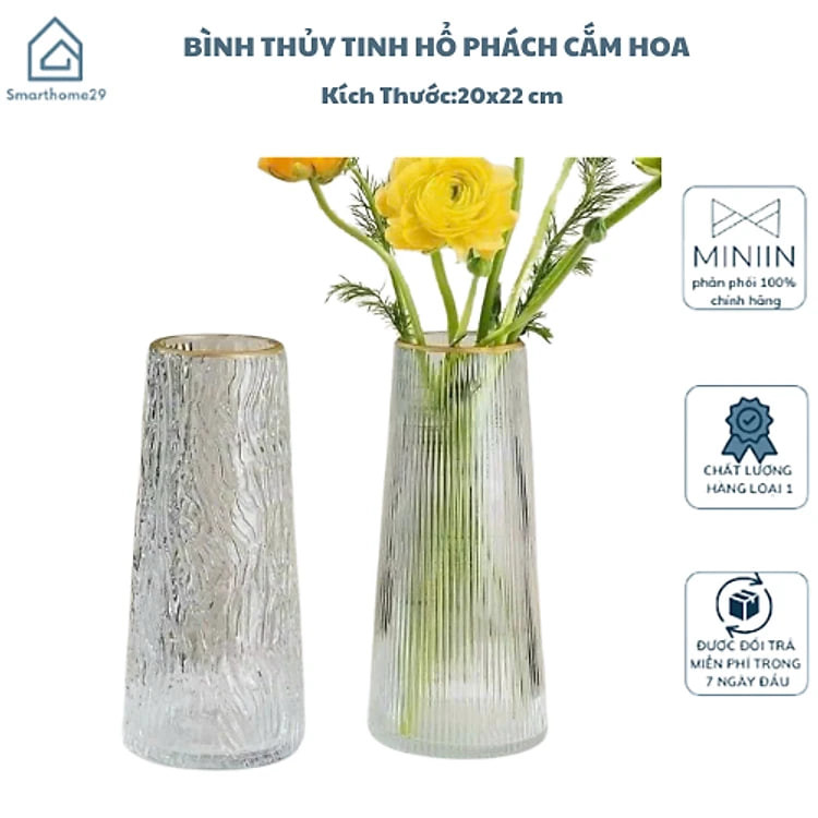 Lọ Hoa Thủy Tinh Trong Suốt & Bình Thủy Tinh Hổ Phách Cắm Hoa Trang Trí Nhà Cửa - HÀNG CHÍNH HÃNG MINIIN