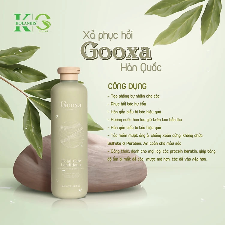 Dầu gội phục hồi tóc hư tổn
