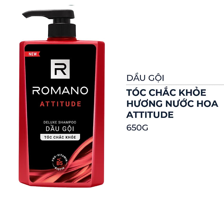 B - Dầu Gội Cao Cấp Cho Nam Romano Attitude (650g)